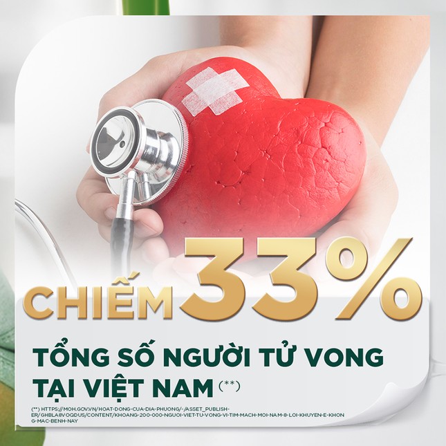 Nguy cơ tim mạch - 'Sát thủ thầm lặng' đe dọa tính mạng người cao tuổi ảnh 1