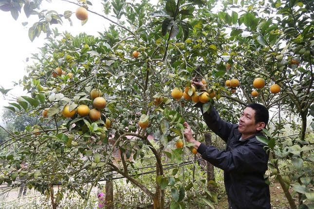 Huyện Bảo Yên, Lào Cai nỗ lực thực hiện hiệu quả chương trình giảm nghèo bền vững ảnh 1