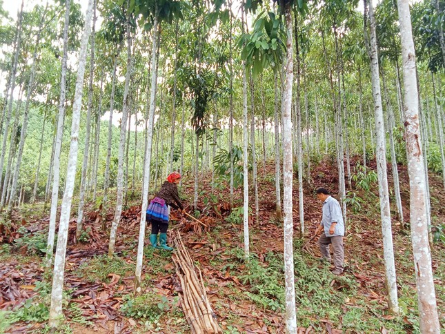 Huyện Bảo Yên, Lào Cai nỗ lực thực hiện hiệu quả chương trình giảm nghèo bền vững ảnh 2