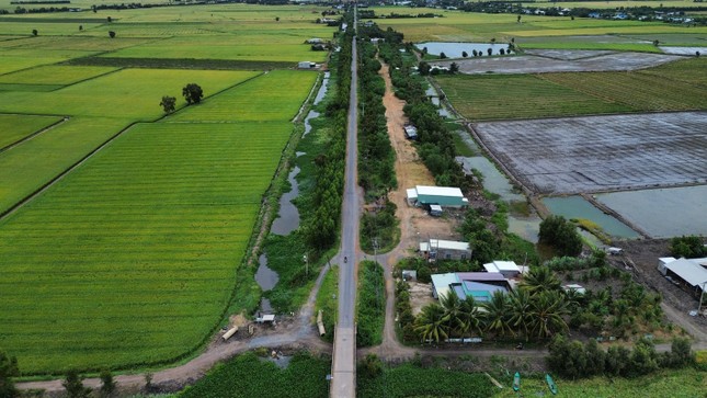 Gắn với tăng trưởng xanh vùng ĐBSCL, Long An khởi động đề án 1 triệu hécta lúa chất lượng cao, phát thải thấp ảnh 2