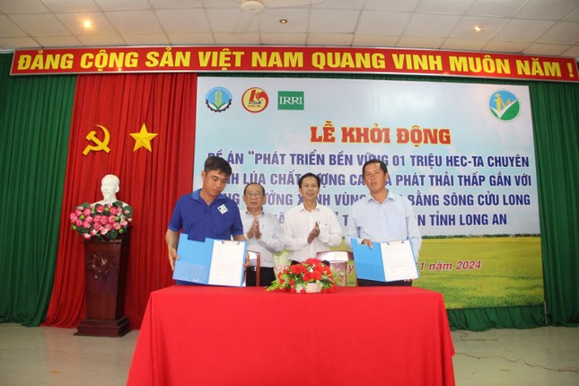 Gắn với tăng trưởng xanh vùng ĐBSCL, Long An khởi động đề án 1 triệu hécta lúa chất lượng cao, phát thải thấp ảnh 3