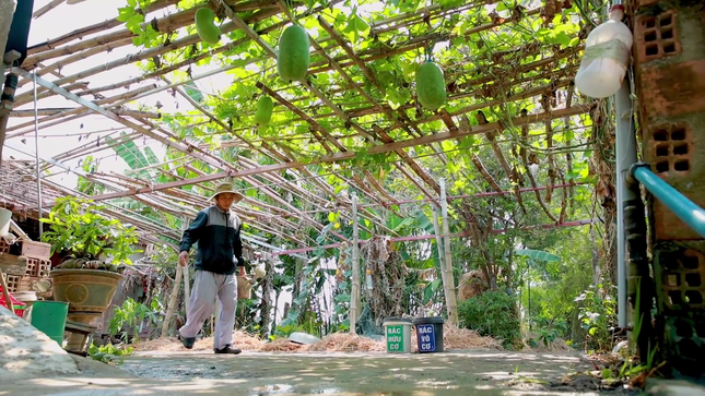 Bình Định: Lan tỏa mô hình bảo vệ môi trường từ cộng đồng ảnh 1