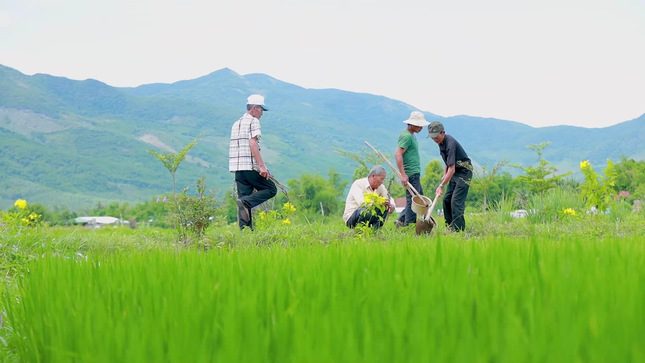 Bình Định: Lan tỏa mô hình bảo vệ môi trường từ cộng đồng ảnh 2