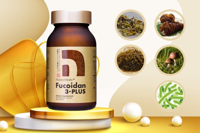 3 tiêu chí chọn Fucoidan Nhật Bản chính hãng nhập khẩu ảnh 3