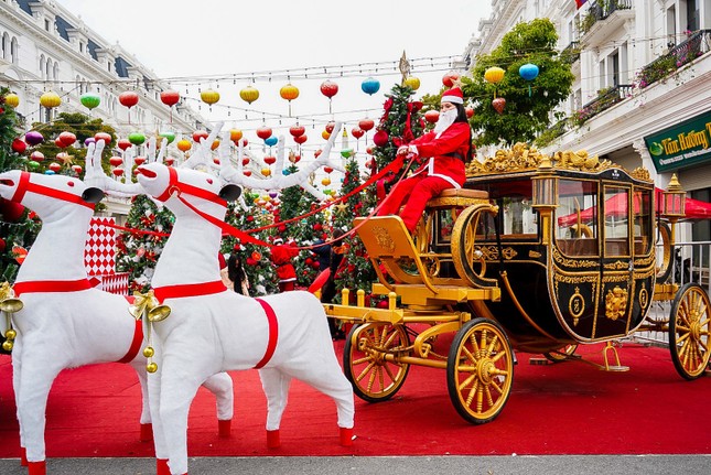 Giới trẻ thích thú check-in vườn thông “khổng lồ” tại khu đô thị Danko City ảnh 2