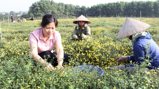 Hệ thống khuyến nông Hà Nội: Cánh tay nối dài, điểm tựa cho nhà nông ảnh 2