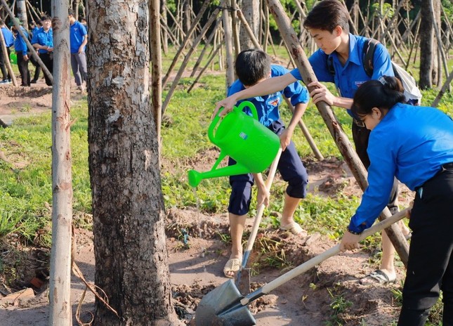 Vườn cây thanh niên hàng chục tỉ đồng của tuổi trẻ đất Thủ ảnh 3