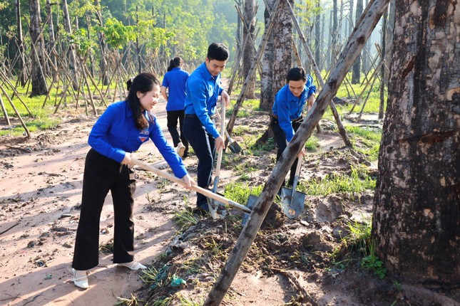 Vườn cây thanh niên hàng chục tỉ đồng của tuổi trẻ đất Thủ ảnh 8