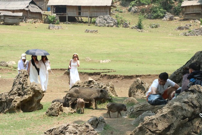 Độc nhất làng 'nguyên thủy' 3 không trên cao nguyên Mộc Châu ảnh 10