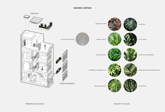 Giải pháp thiết kế thông thoáng cho nhà phố xen kẹt ảnh 10