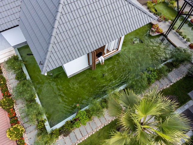 Nhà vườn Tây Ninh thiết kế phòng ngủ đặc biệt lửng lơ trên mặt nước ảnh 7
