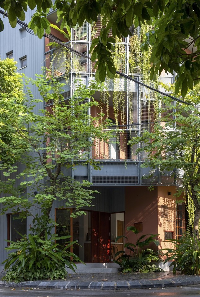 Không gian ngôi nhà được bao trùm bởi những rèm cây xanh