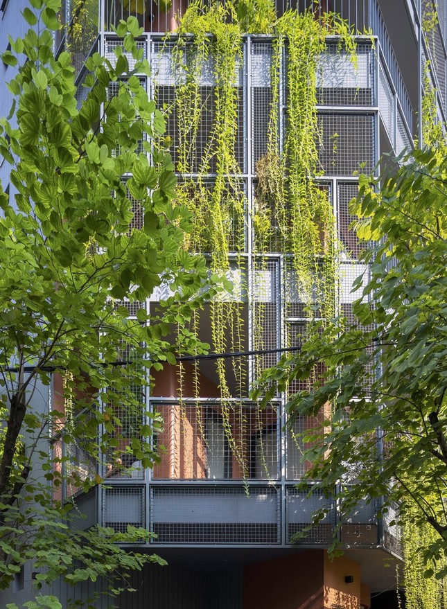 Không gian ngôi nhà được bao trùm bởi những rèm cây xanh