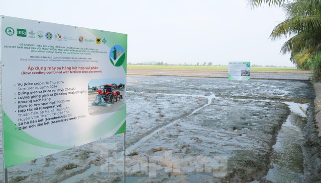Cần Thơ hình thành 48.000ha lúa chất lượng cao ứng phó biến đổi khí hậu, bảo vệ môi trường ảnh 1