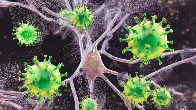 Có thể tiêu diệt được ổ HIV ẩn náu trong cơ thể con người ? ảnh 1