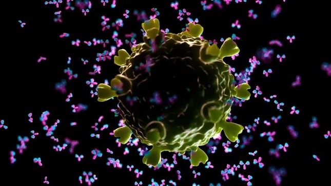 Lần đầu tiên tạo ra vắc xin HIV kích hoạt kháng thể miễn dịch hiếm ở người ảnh 1