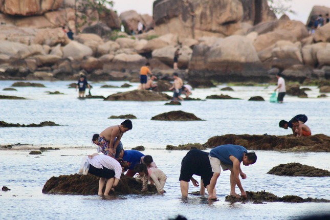 Nhiều người đổ ra biển 'uy hiếp' rạn san hô vịnh Nha Trang ảnh 2