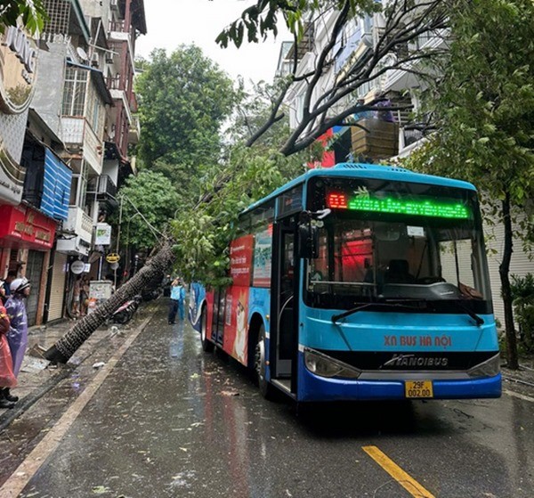 Có nên mở hé cửa hoặc cửa sổ khi có bão để giảm nguy cơ tốc mái, hư hại nhà cửa? ảnh 2