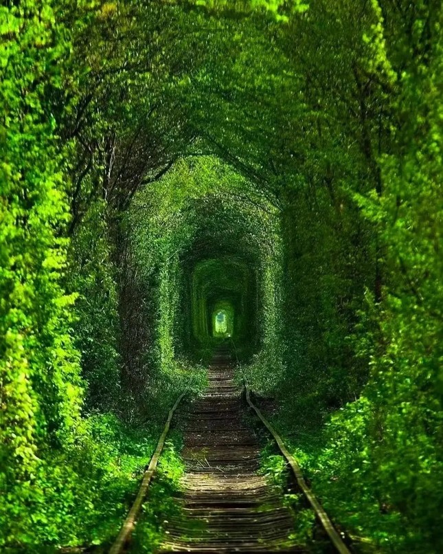 Tunnel of Love (Ukraine): Đường hầm tình yêu thơ mộng nhất châu Âu, đẹp như cổ tích ảnh 2