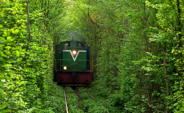 Tunnel of Love (Ukraine): Đường hầm tình yêu thơ mộng nhất châu Âu, đẹp như cổ tích ảnh 7
