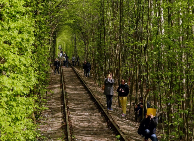 Tunnel of Love (Ukraine): Đường hầm tình yêu thơ mộng nhất châu Âu, đẹp như cổ tích ảnh 8