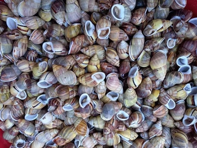 Những