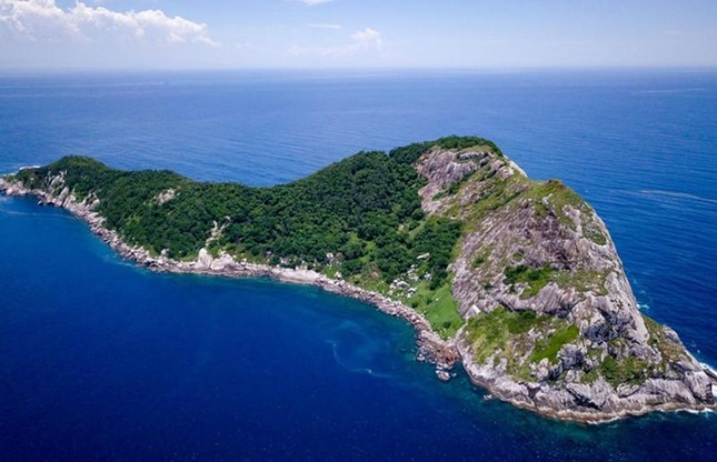 'Death Island' where tens of thousands of poisonous snakes reign photo 1