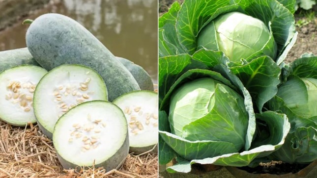 Những loại rau xanh ăn mỗi ngày cực tốt, giúp đào thải mỡ thừa, chống lão hóa ảnh 2