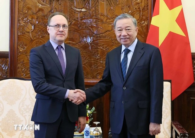 Chủ tịch nước Tô Lâm tiếp Đại sứ Liên bang Nga tại Việt Nam ảnh 1