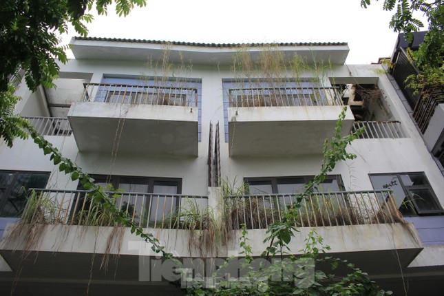 Nguồn tài chính đổ vào thị trường địa ốc bắt đầu sôi động hơn ảnh 2