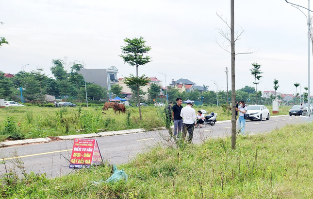 Huyện ngoại thành Hà Nội đấu giá hơn 100 lô đất ảnh 5