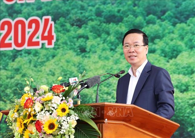 Chủ tịch nước phát động Tết trồng cây nhớ ơn Bác Hồ ảnh 1