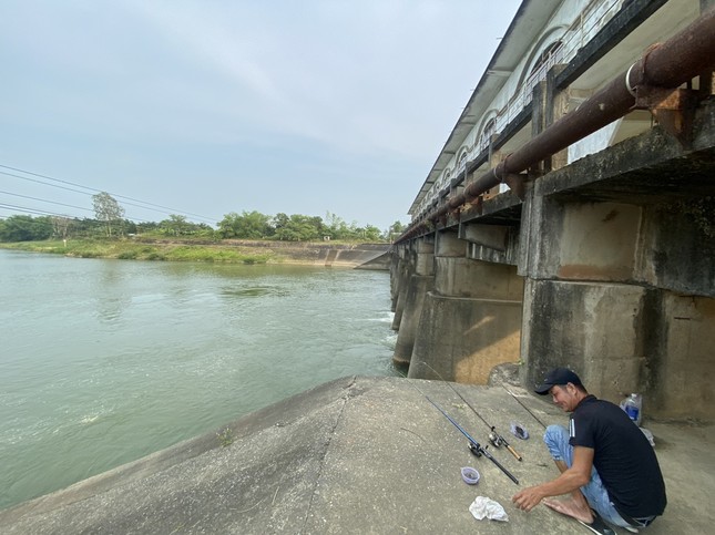 Da Nang requested the Ministry of Natural Resources and Environment to direct the release of water to operate the salinity prevention pump station photo 2