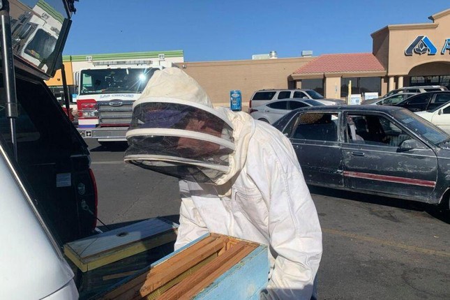Vào siêu thị 10 phút, trở ra thì thấy có 15.000 con ong mật trong ô tô ảnh 2