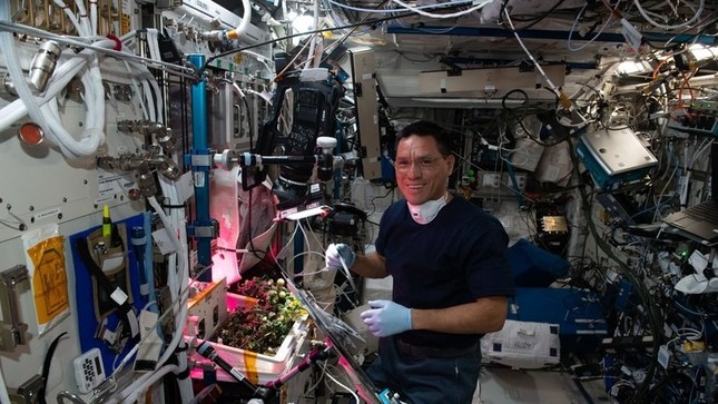 Tìm thấy quả cà chua 'mất tích' suốt 8 tháng trên trạm vũ trụ ISS ảnh 1