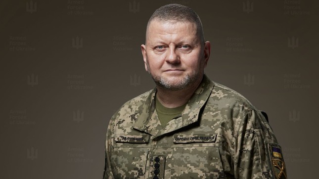 Thực hư tin đồn cựu tổng tư lệnh lực lượng vũ trang Ukraine bị bắt ảnh 1