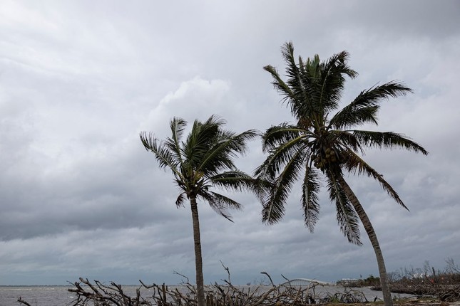 [CẬP NHẬT] Siêu bão Milton vừa đổ bộ đã gây thiệt hại ở Florida ảnh 4