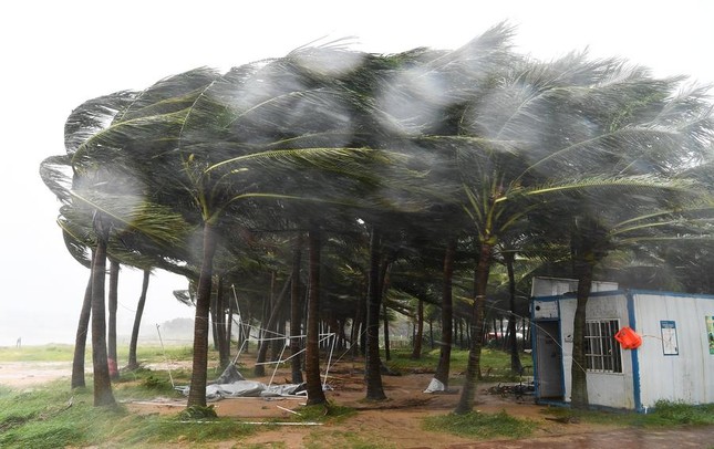 Siêu bão YAGI đổ bộ Trung Quốc, 1 triệu người phải sơ tán ảnh 3