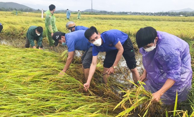 Chàng trai Bình Định là thanh niên tiên tiến làm theo lời Bác, nhận đỡ đầu, dạy võ cho trẻ nghèo ảnh 1