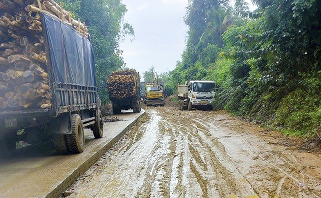 Đường 190 tỷ đồng ở Bình Định chưa làm xong đã đào lên làm lại ảnh 3