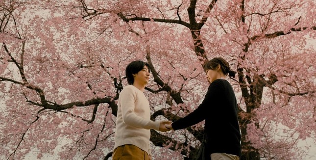 Mùa hoa anh đào nở rộ, cùng thưởng thức những bộ phim điện ảnh Nhật lãng mạn ảnh 14
