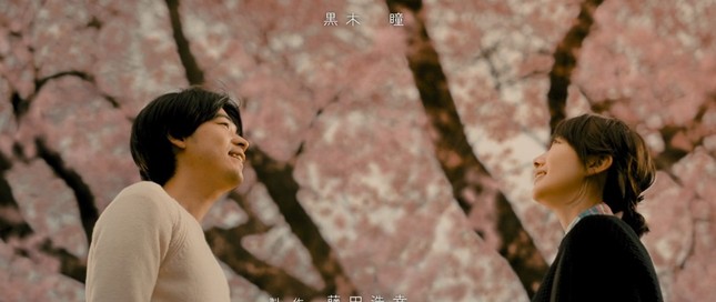 Mùa hoa anh đào nở rộ, cùng thưởng thức những bộ phim điện ảnh Nhật lãng mạn ảnh 15