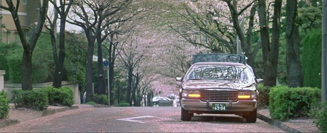 Mùa hoa anh đào nở rộ, cùng thưởng thức những bộ phim điện ảnh Nhật lãng mạn ảnh 2