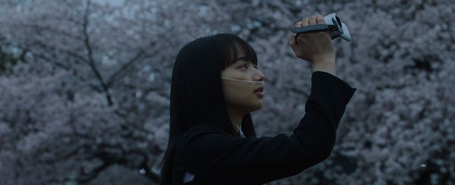 Mùa hoa anh đào nở rộ, cùng thưởng thức những bộ phim điện ảnh Nhật lãng mạn ảnh 19