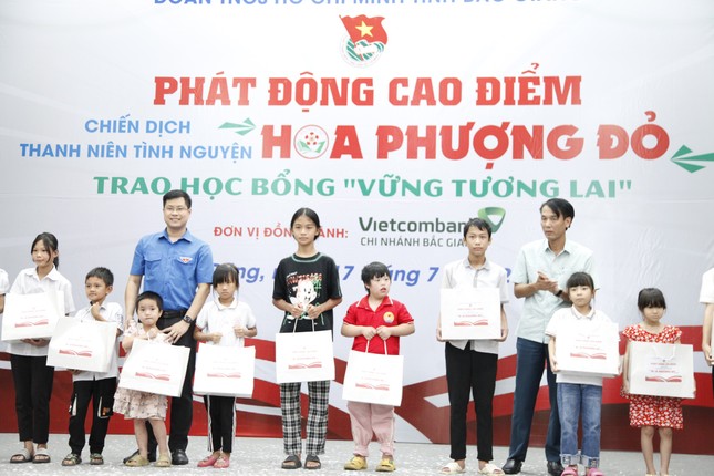 Bắc Giang ra quân tình nguyện Hoa phượng đỏ ảnh 2