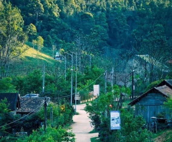 Tọa độ du lịch lý tưởng cho mùa Thu: Măng Đen (Kon Tum) vui mà ít người biết ảnh 3