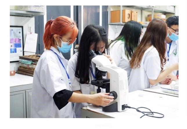 Trường Đại học Dược Hà Nội tạm dừng tuyển sinh chương trình chất lượng cao ảnh 1
