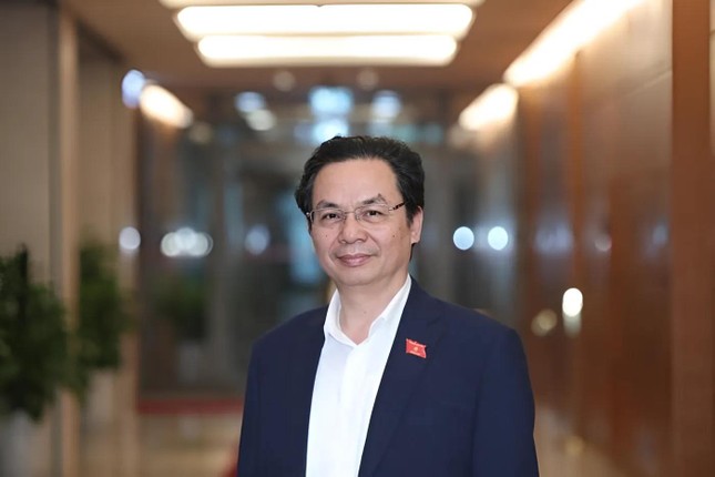 GS.TS Hoàng Văn Cường được bổ nhiệm giữ chức vụ Phó Chủ tịch Hội đồng Giáo sư nhà nước nhiệm kì 2024 - 2029 ảnh 1