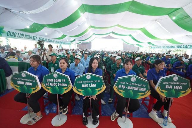 Chùm ảnh độc lạ tìm bàn tay vàng trong "làng" cạo mủ cao su ảnh 3