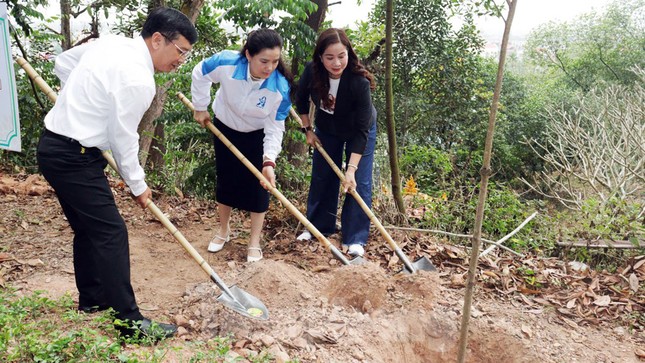 Hải Phòng phát động trồng hơn 5.000 cây xanh hưởng ứng Tết trồng cây ảnh 2